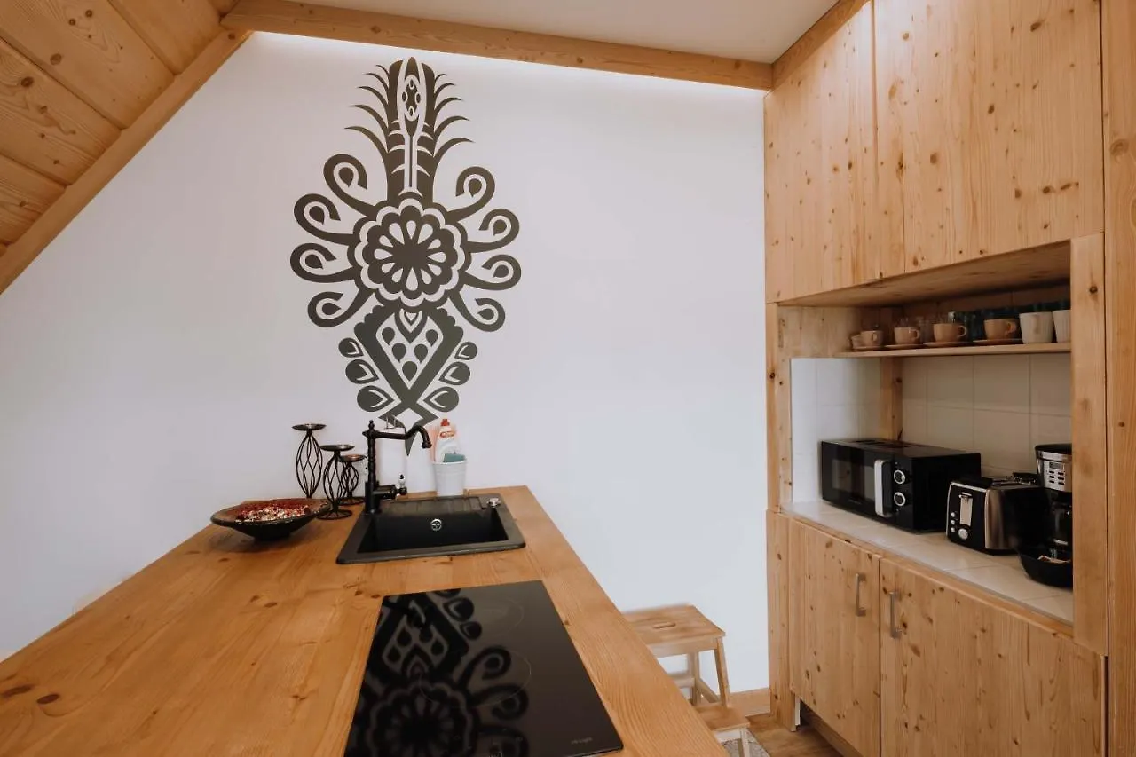 Apartment Apartament Tatry Folk Regionalny Grota Solna Zakopane