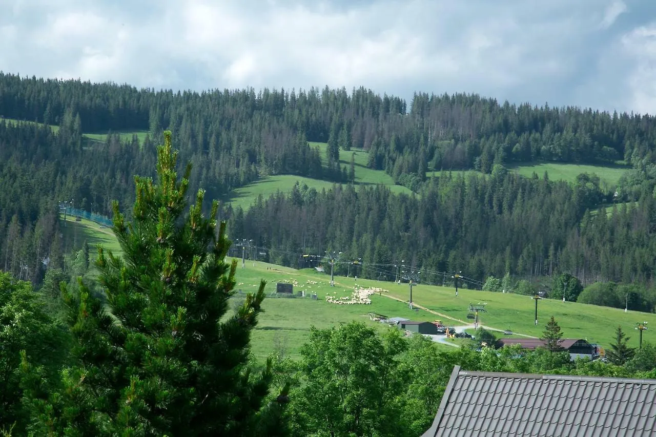 Apartament Tatry Folk Regionalny Grota Solna Zakopane 0*,  Polen